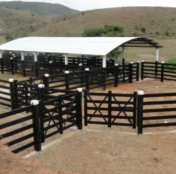 10923475_1537948636473147_8401992204975712131_n