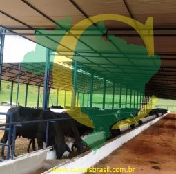 CelmoIMG-20170429-WA0017 (1)G.Valadares