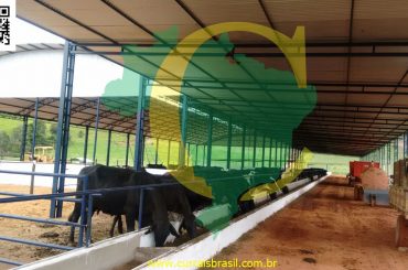 CelmoIMG-20170429-WA0017 (1)G.Valadares