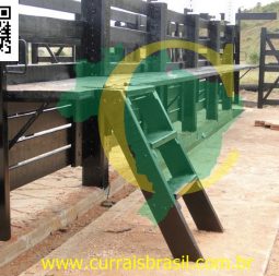 NenecaDSC01779_800x600