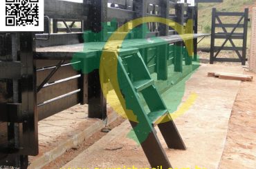 NenecaDSC01779_800x600